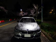 2014年　アクティブ３とお花見・・・・・夜桜で締めくくります♪