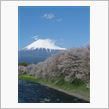 ラッキーな一日♪
