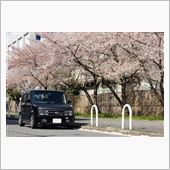 ご無沙汰のブログでございます