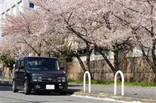 ご無沙汰のブログでございます