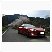 秩父お花見ドライブ
