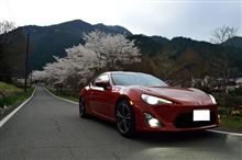 秩父お花見ドライブ