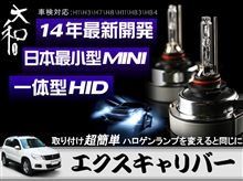 運気上昇中かな？？