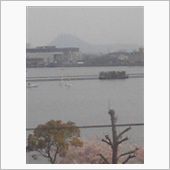 春の麗らの(^o^)／
