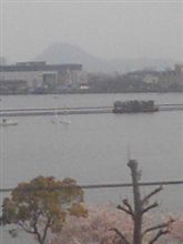 春の麗らの(^o^)／