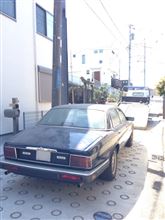 xj-40 ★ 陽の目を見て…
