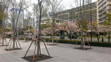 ディーラーで出会ったのは。。。