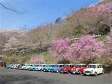 お花見ツー参加
