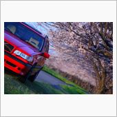 ２０１４　サクラ＆８５５Ｒ