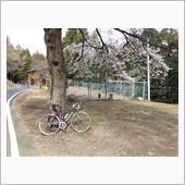 白石峠にて2。