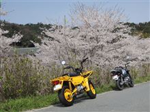 山のことなら山猿に聞け! 山のことなら山猿に聞け!