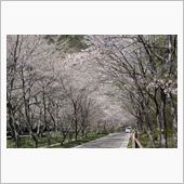 千本桜