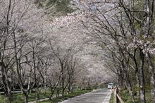 千本桜