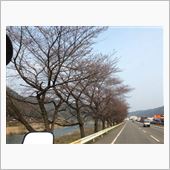 ようやく春の気配