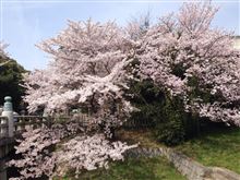 ご無沙汰しております！