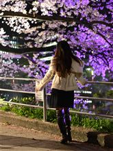 2014　さくらまつり☆