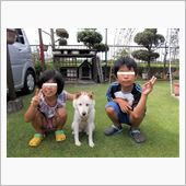 母と愛犬ロンの物語