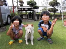 母と愛犬ロンの物語