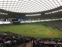 野球観戦（埼玉西武VSオリックス）