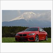My BMW M235i p ...