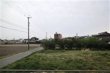 ▽・ｗ・▽こんばんわんこ  【2014/04/19】