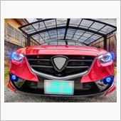 ツインカラーのＬＥＤウインカ ...