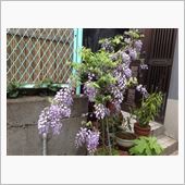 贅沢な一日(^O^)／▼