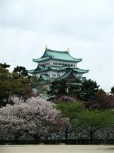 名古屋城に行ってきたん