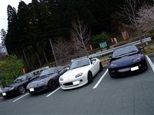 久しぶりのMTG＆TRG