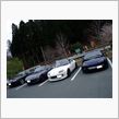 久しぶりのMTG＆TRG