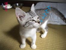 きょうは…^_^;