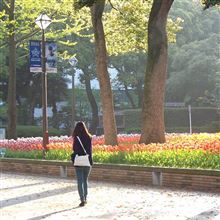 早朝の横浜公園で