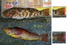天気が良いと 天気が良いと
