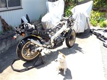 NSR250レストア113日目 NSR250レストア113日目