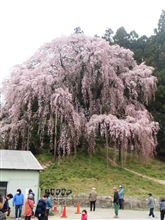 花見？