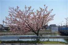 気晴らしにサイクリング♪
