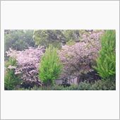 おはようさんで～す♪ ［14 ...