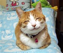 飛び石連休初日…^_^;