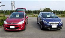 フレフレセントラル2014