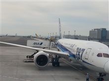 GWは飛行機で...