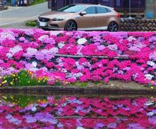ＧＷなのでちょっとお出かけ♪