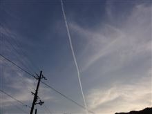 真っ直ぐ前を向いて。。。
