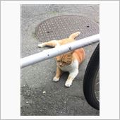東口のジョー