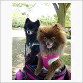 久々に再会