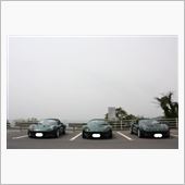 BritishGreen&#215;3