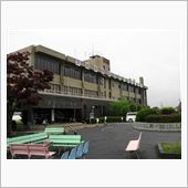 今日は
