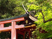 春日の若宮さん
