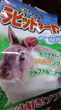 ラビットフード