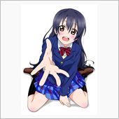 ついに海末フィギュアを購入し ...