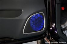 スティングレー × 電飾ドレスアップ スティングレー × 電飾ドレスアップ